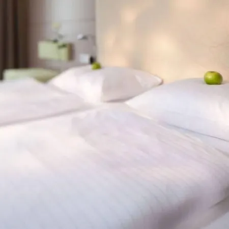 Bakenhof Hotell Munster (North Rhine-Westphalia)